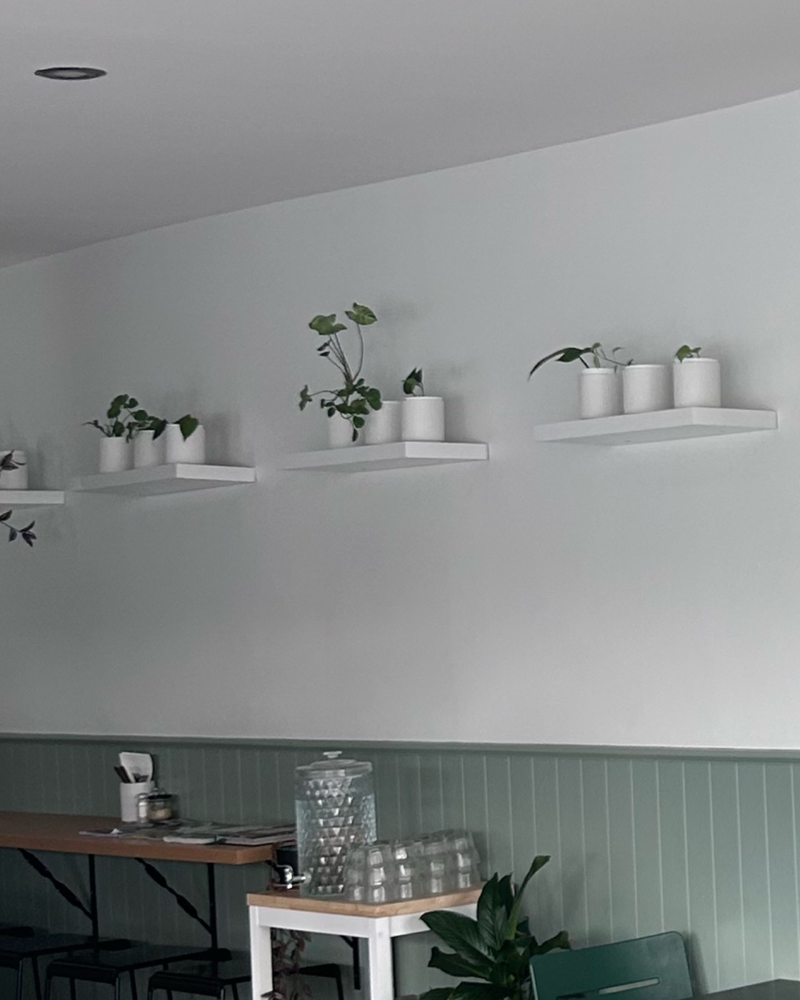 White wall with small potted plants on floating shelves above pale green panelling